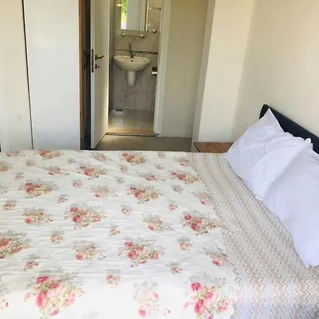 Mustakil Havuzlu Ve Bahceli Villa *